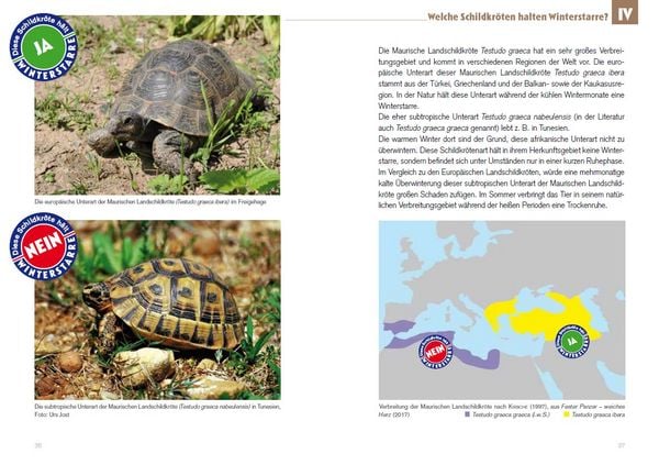 Produktbild: Winterstarre bei Europ&auml;ischen Landschildkr&ouml;ten
