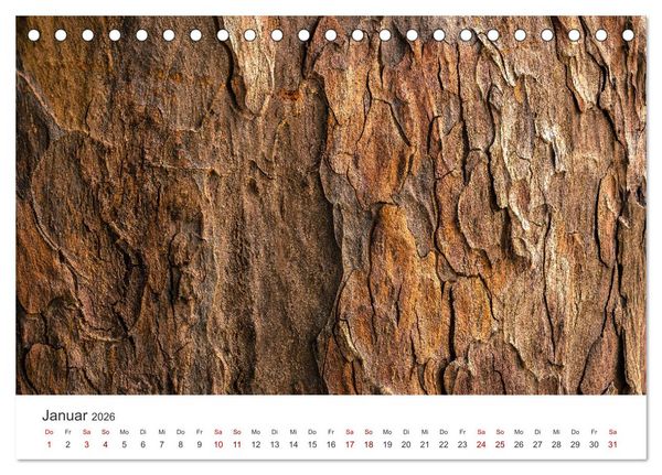 Produktbild: ZEN - Eine Reise zu sich selbst (Tischkalender 2026 DIN A5 quer), CALVENDO Monatskalender