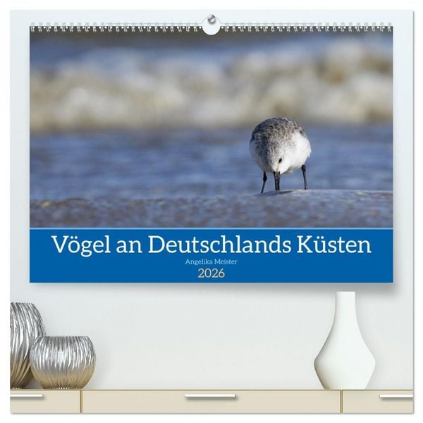 Produktbild: V&ouml;gel an Deutschlands K&uuml;sten (hochwertiger Premium Wandkalender 2026 DIN A2 quer), Kunstdruck in Hochglanz