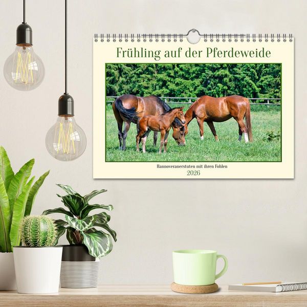 Produktbild: Fr&uuml;hling auf der Pferdeweide (Wandkalender 2026 DIN A4 quer), CALVENDO Monatskalender