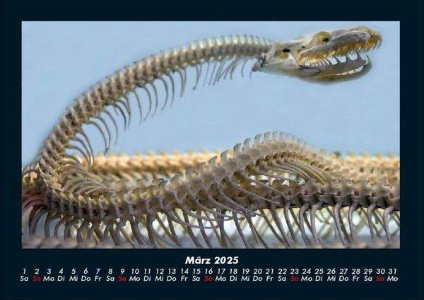 Produktbild: London 2025 Fotokalender DIN A4