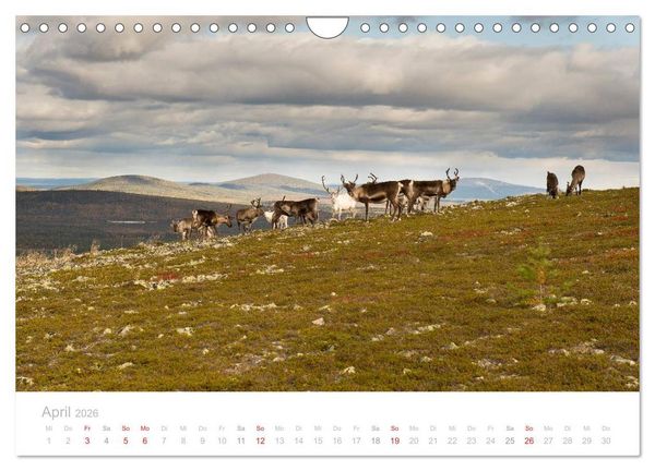 Produktbild: Heimat der Samen (Wandkalender 2026 DIN A4 quer), CALVENDO Monatskalender
