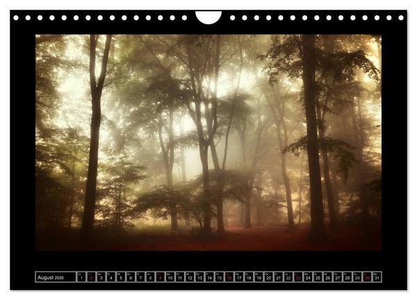 Produktbild: Der Reichswald bei Kleve (Wandkalender 2026 DIN A4 quer), CALVENDO Monatskalender