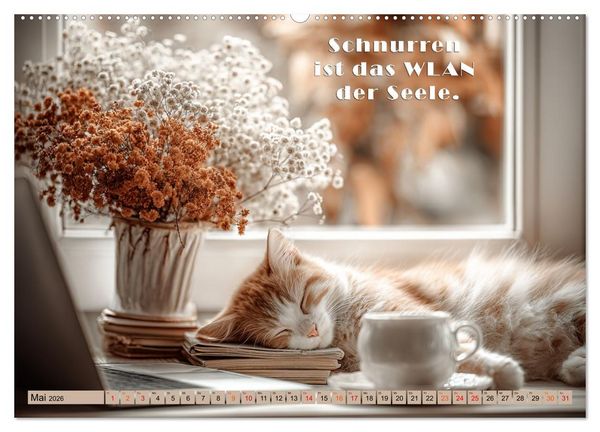 Produktbild: Miau-velous Pfotenpoesie (hochwertiger Premium Wandkalender 2026 DIN A2 quer), Kunstdruck in Hochglanz