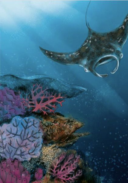 Produktbild: Wunderwelt der Tiere im Meer - Gelesen von Jakob Graf