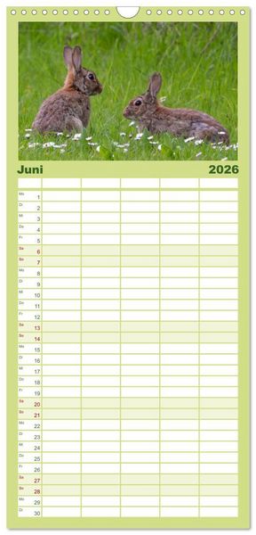 Produktbild: Familienplaner 2026 - Deutsches Jagdwild - Waidmannsheil mit 5 Spalten (Wandkalender, 21 x 45 cm) CALVENDO