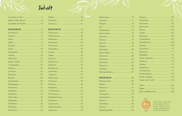 Produktbild: Wundervolle Welt - Kleine Sch&auml;tze. Fossilien