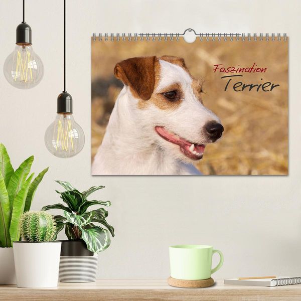 Produktbild: Faszination Terrier (Wandkalender 2026 DIN A4 quer), CALVENDO Monatskalender