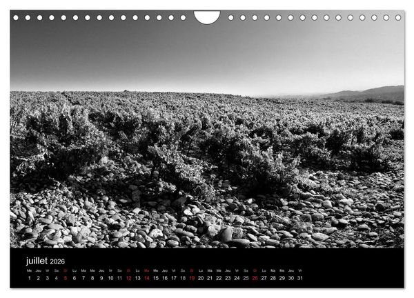 Produktbild: VIGNES DU SUD terroirs d'AOC (Calendrier mural 2026 DIN A4 vertical), CALVENDO calendrier mensuel