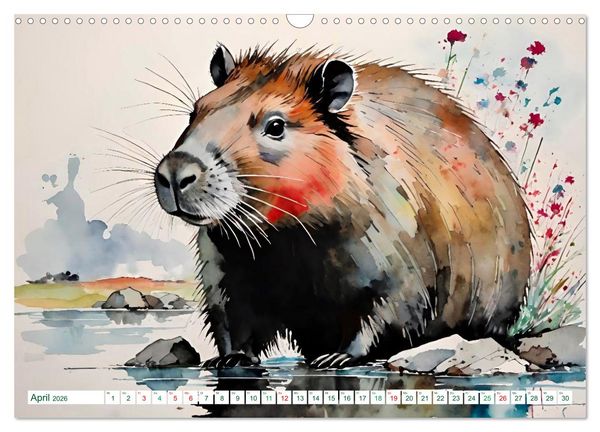 Produktbild: Das Capybara (Wandkalender 2026 DIN A3 quer), CALVENDO Monatskalender
