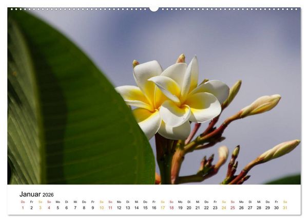 Produktbild: La R&eacute;union - Auf der Insel der Gef&uuml;hle (hochwertiger Premium Wandkalender 2026 DIN A2 quer), Kunstdruck in Hochglanz