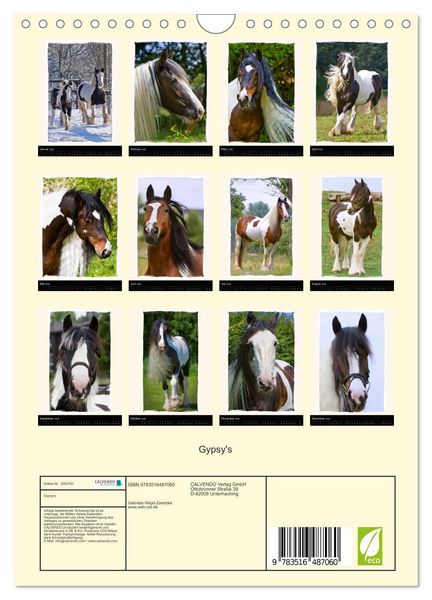 Produktbild: Gypsy's (Wandkalender 2026 DIN A4 hoch), CALVENDO Monatskalender