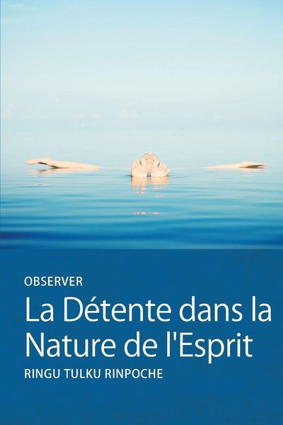 Produktbild: Observer La D&eacute;tente dans la Nature de l'Esprit