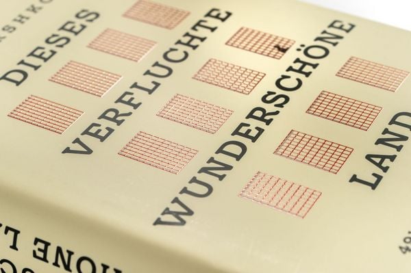 Produktbild: Dieses verfluchte wundersch&ouml;ne Land
