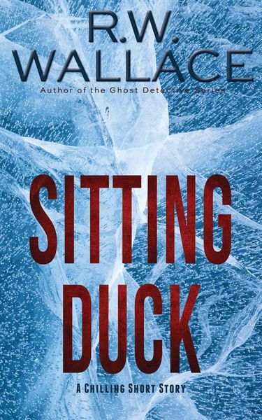 Produktbild: Sitting Duck