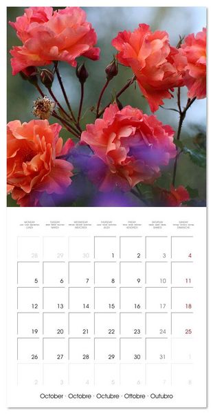 Produktbild: LE PARFUM ENVO&Ucirc;TANT DES ROSES (Calendrier mural carr&eacute; 2026 30x30 cm) Calendrier double avec une page pour vos prises de notes