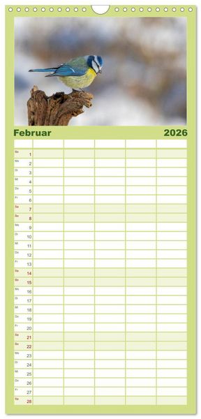 Produktbild: Familienplaner 2026 - Der Kernbei&szlig;er und seine gefiederten Gesellen mit 5 Spalten (Wandkalender, 21 x 45 cm) CALVENDO