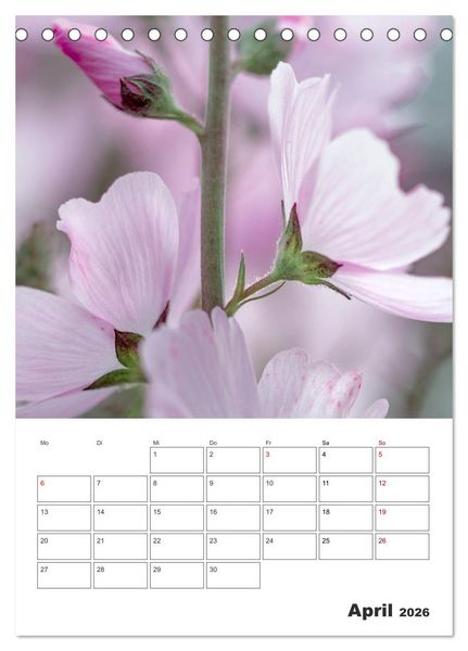 Produktbild: Farbiger Bl&uuml;tentraum (Tischkalender 2026 DIN A5 hoch), CALVENDO Monatskalender