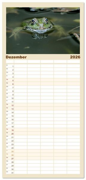 Produktbild: Familienplaner 2026 - Frosch Karl, Hans und Max im Einklang der Natur mit 5 Spalten (Wandkalender, 21 x 45 cm) CALVENDO