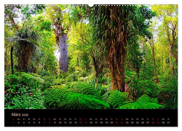Produktbild: S&uuml;dseetraum Neuseeland (hochwertiger Premium Wandkalender 2026 DIN A2 quer), Kunstdruck in Hochglanz
