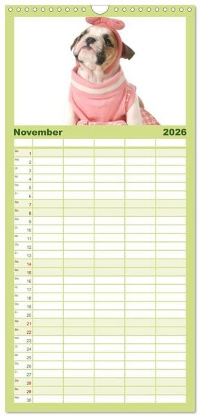 Produktbild: Familienplaner 2026 - English Bulldog XXL Models mit 5 Spalten (Wandkalender, 21 x 45 cm) CALVENDO
