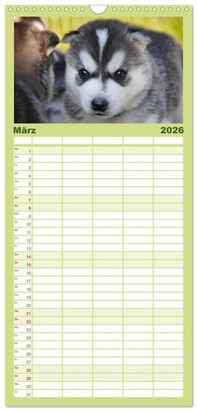 Produktbild: Familienplaner 2026 - Huskys - Traumhunde mit 5 Spalten (Wandkalender, 21 x 45 cm) CALVENDO