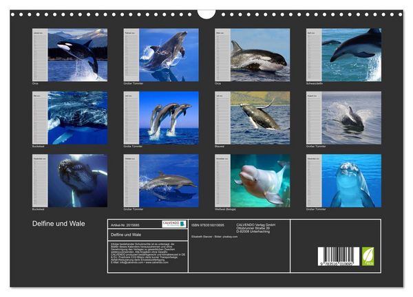 Produktbild: Delfine und Wale (Wandkalender 2026 DIN A3 quer), CALVENDO Monatskalender