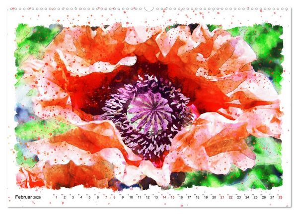 Produktbild: Mohnbl&uuml;ten in Aquarell (hochwertiger Premium Wandkalender 2026 DIN A2 quer), Kunstdruck in Hochglanz