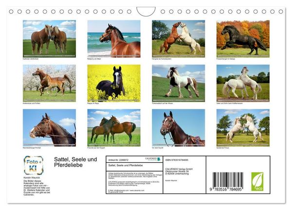 Produktbild: Sattel, Seele und Pferdeliebe (Wandkalender 2027 DIN A4 quer), CALVENDO Monatskalender