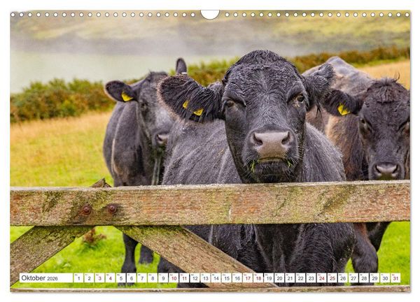 Produktbild: Exmoor National Park (Wandkalender 2026 DIN A3 quer), CALVENDO Monatskalender