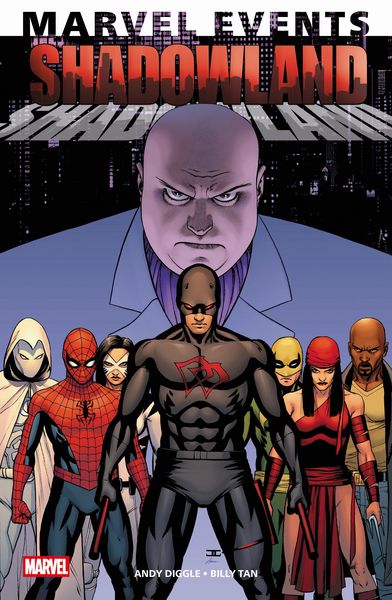 Produktbild: Marvel Events: Shadowland