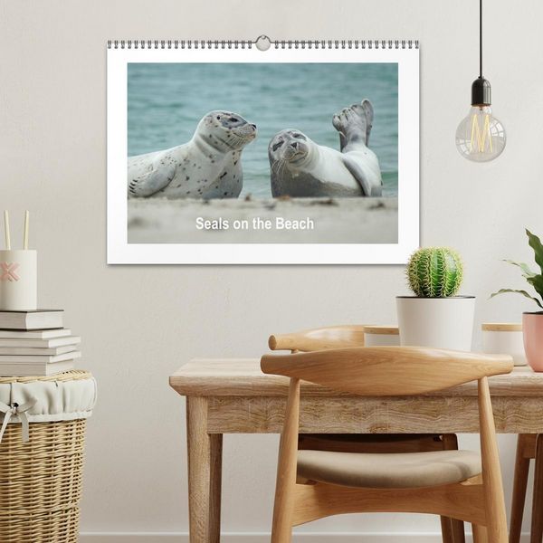 Produktbild: Seals on the Beach (Wall Calendar 2026 DIN A3 landscape), CALVENDO 12 Month Wall Calendar