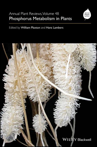 Produktbild: Annual Plant Reviews, Phosphorus Metabolism in Plants