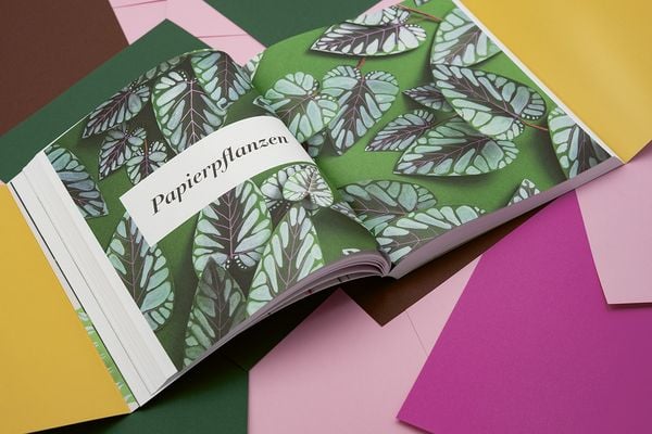 Produktbild: Zimmerpflanzen aus der Papierwerkstatt