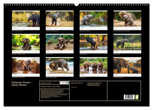 Produktbild: Elefanten Kinder - kleine Riesen (Wandkalender 2026 DIN A2 quer), CALVENDO Monatskalender