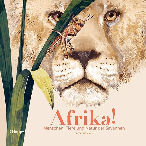 Afrika!, Gebundene Ausgabe von Katharina Vlcek, Haupt Verlag, 9783258082905