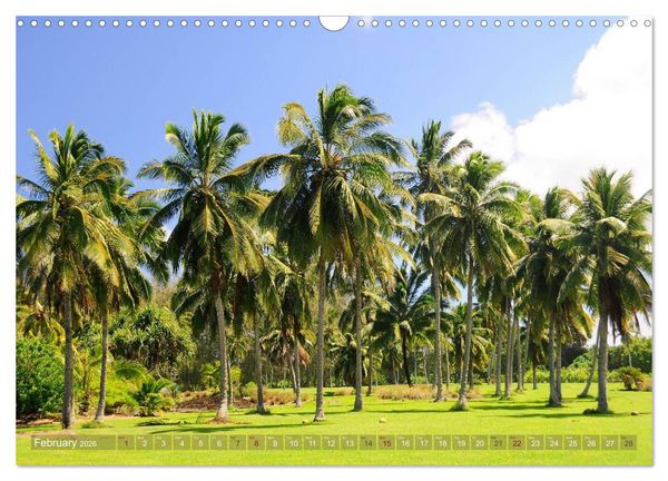 Produktbild: The Paradise of Hawaii (Wall Calendar 2026 DIN A3 landscape), CALVENDO 12 Month Wall Calendar