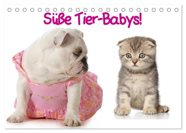 Produktbild: S&uuml;&szlig;e Tier-Babys! (Tischkalender 2026 DIN A5 quer), CALVENDO Monatskalender