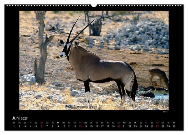 Produktbild: Wildtiere im Etosha Nationalpark (Wandkalender 2027 DIN A2 quer), CALVENDO Monatskalender