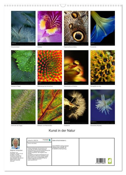 Produktbild: Kunst in der Natur (Wandkalender 2026 DIN A2 hoch), CALVENDO Monatskalender