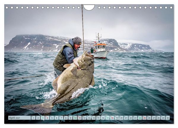 Produktbild: Heilbuttwahnsinn vor Gr&ouml;nland (Wandkalender 2027 DIN A4 quer), CALVENDO Monatskalender