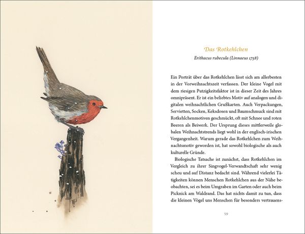 Produktbild: Vom Gl&uuml;ck des Vogelgesangs