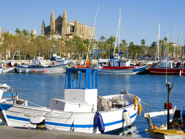Produktbild: CALVENDO Puzzle Fischerhafen Palma mit Kathedrale | 1000 Teile Lege-Gr&ouml;&szlig;e 64x48cm Foto-Puzzle f&uuml;r gl&uuml;ckliche Stunden