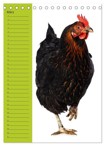 Produktbild: Kunterbunte H&uuml;hner Truppe (Tischkalender 2026 DIN A5 hoch), CALVENDO Monatskalender