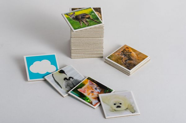 Produktbild: Tierkinder-Memo