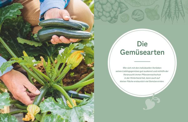 Produktbild: Der optimale Gem&uuml;segarten