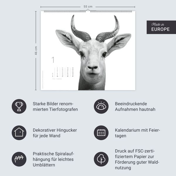 Produktbild: Black & White Animals 2027