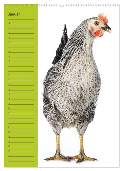 Produktbild: Kunterbunte H&uuml;hner Truppe (Wandkalender 2026 DIN A2 hoch), CALVENDO Monatskalender
