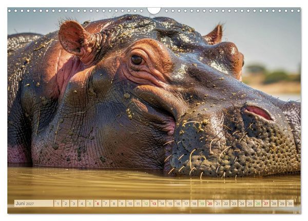 Produktbild: Die Augen der Wildnis (Wandkalender 2027 DIN A3 quer), CALVENDO Monatskalender