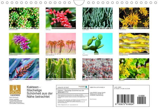 Produktbild: Kakteen - Stachelige Sch&ouml;nheit aus der N&auml;he betrachtet (Wandkalender 2022 DIN A4 quer)